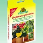 TRAPPOLA PER INSETTI VOLATILI NOCIVI