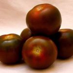 POMODORO NERO DI CRIMEA IN CONFEZIONE DA 6 PIANTINE