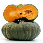 PIANTA DI ZUCCA IN CONFEZIONE DA 4 PIANTINE