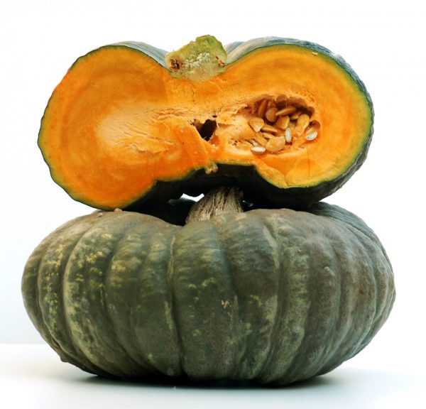 PIANTA DI ZUCCA IN CONFEZIONE DA 4 PIANTINE
