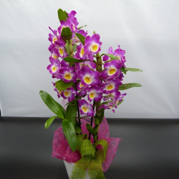 Composizione Floreale