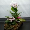 Idee regalo fiori