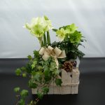 Idee Regalo Floreali