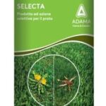 Selecta Prodotto ad azione selettiva per prato ml 500