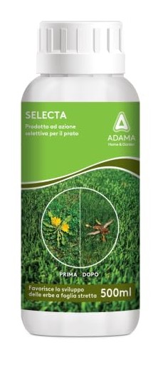 Selecta Prodotto ad azione selettiva per prato ml 500
